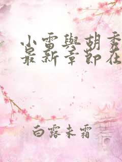 小雷与胡秀英的最新章节在线阅读小说
