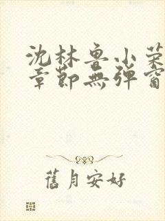 沈林鲁小荣最新章节无弹窗笔趣阁