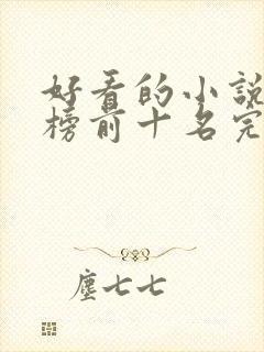 好看的小说排行榜前十名完结版