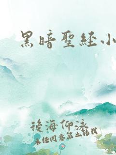 黑暗圣经小说