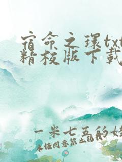 宿命之环txt精校版下载