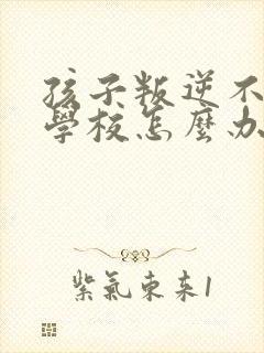 孩子叛逆不想去学校怎么办