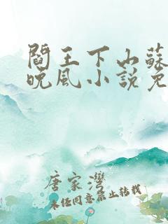 阎王下山苏文陆晚风小说免费阅读