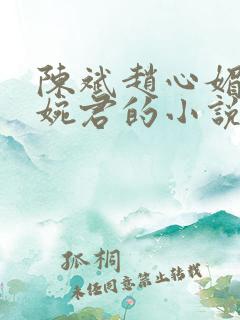陈斌赵心媚和高婉君的小说