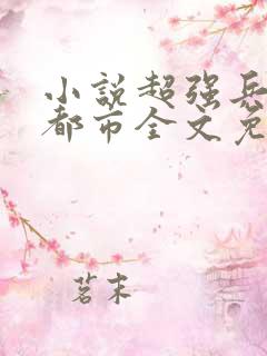 小说超强兵王在都市全文免费阅读