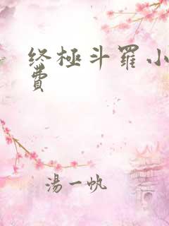 终极斗罗小说免费