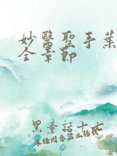 妙医圣手叶皓轩全章节