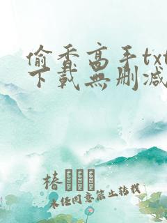 偷香高手txt下载无删减