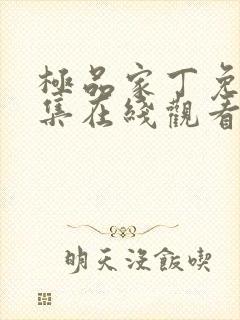 极品家丁免费全集在线观看