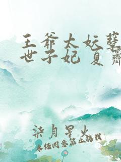 王爷太妖孽绝宠世子妃 夏霁月