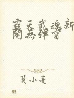 霸天武魂新笔趣阁无弹窗