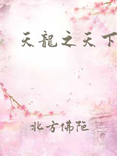 天龙之天下有我