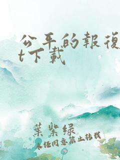 公平的报复txt下载