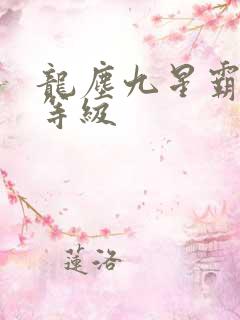 龙尘九星霸体诀等级