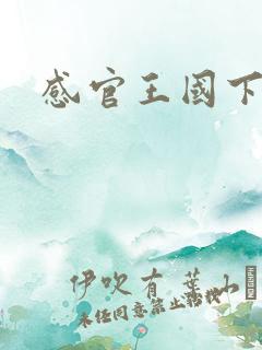 感官王国下载