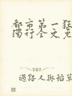都市第一狂龙秦独行全文免费阅读