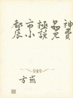 都市极品神医叶辰小说免费阅读