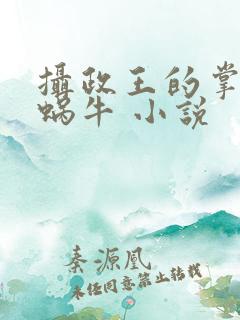 摄政王的掌中娇蜗牛 小说