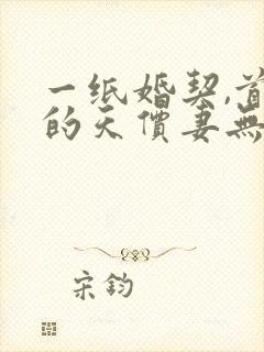 一纸婚契,首席的天价妻无删减全文