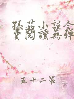 孙茹小说全文免费阅读无弹窗