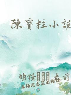 陈宝柱小说
