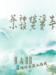 葬神棺浮生一诺小说免费下载