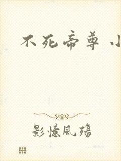 不死帝尊 小说