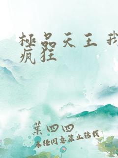 极品天王 我本疯狂