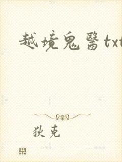 越境鬼医txt