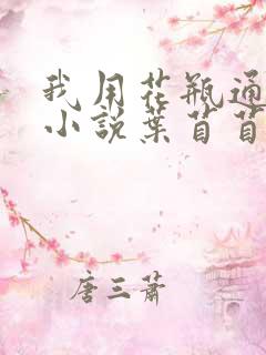 我用花瓶通古今小说叶苜苜战承胤