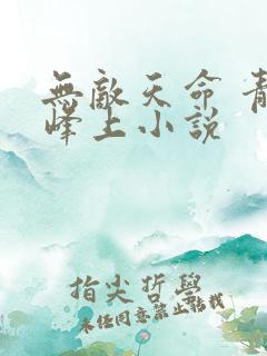 无敌天命 青鸾峰上小说