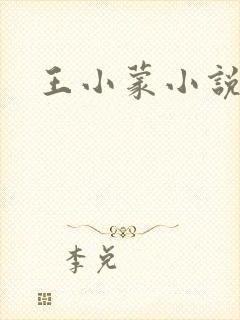 王小蒙小说改编