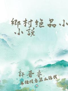 乡村绝品小神医 小说