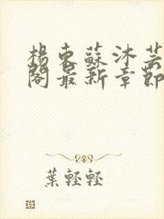 杨东苏沐芸笔趣阁最新章节阅读