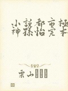小说都市极品医神孙怡完本免费阅读