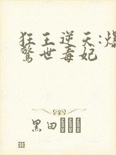 狂王逆天:爆宠惊世毒妃