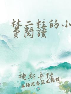 林二柱的小说免费阅读