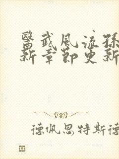 医武风流孙哲最新章节更新
