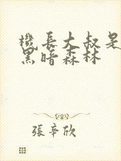 机长大叔是饿狼黑暗森林