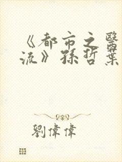 《都市之医武风流》孙哲叶巧