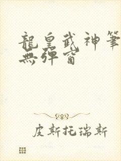 龙皇武神笔趣阁无弹窗