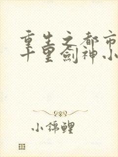 重生之都市修仙十里剑神小说
