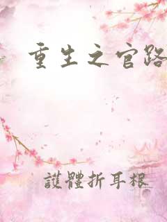 重生之官路情长