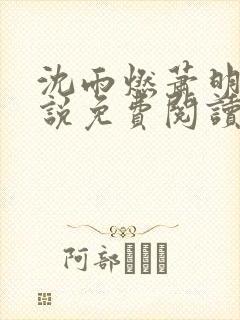 沈雨燃萧明彻小说免费阅读无弹窗