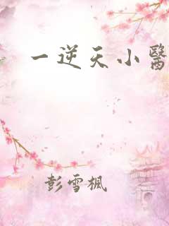 一逆天小医仙