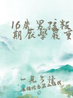 16岁男孩叛逆期厌学严重怎么办