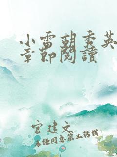 小雷胡秀英全部章节阅读
