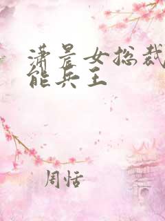 潇晨女总裁的全能兵王