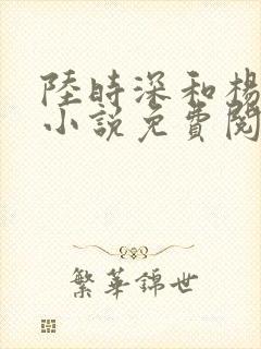 陆时深和杨念念小说免费阅读