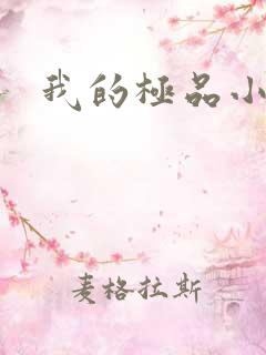我的极品小姨,